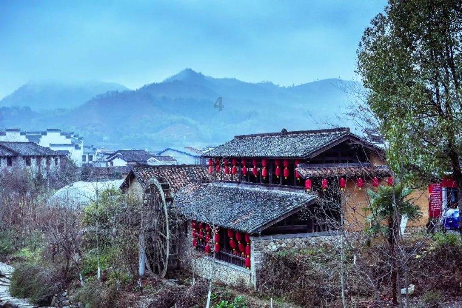 花与剑